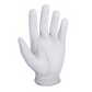 FootJoy Men's Pro FLX Glove
